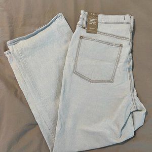 Light Wash Madewell Perfect Vintage Wide Leg Crop Jean